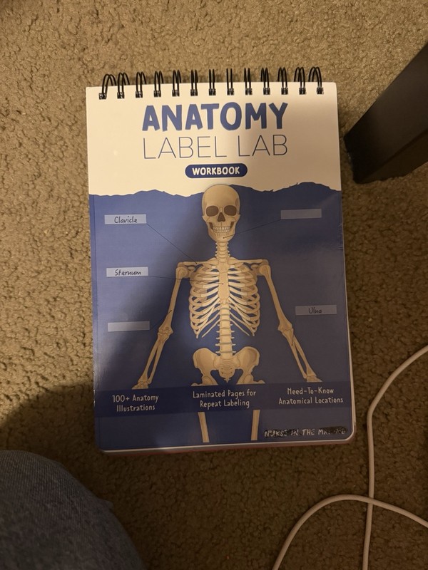 Anatomy Label Lab Textbook For College Students