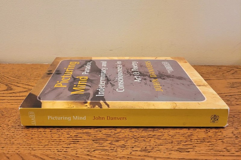Picturing Mind : Paradox & Consciousness In Art & Poetry by John Danvers gallery