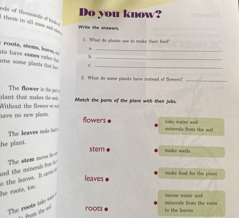 Abeka 2nd Grade Science Reader Enjoying Gods World 3rd Edition 51101010 READ DES gallery