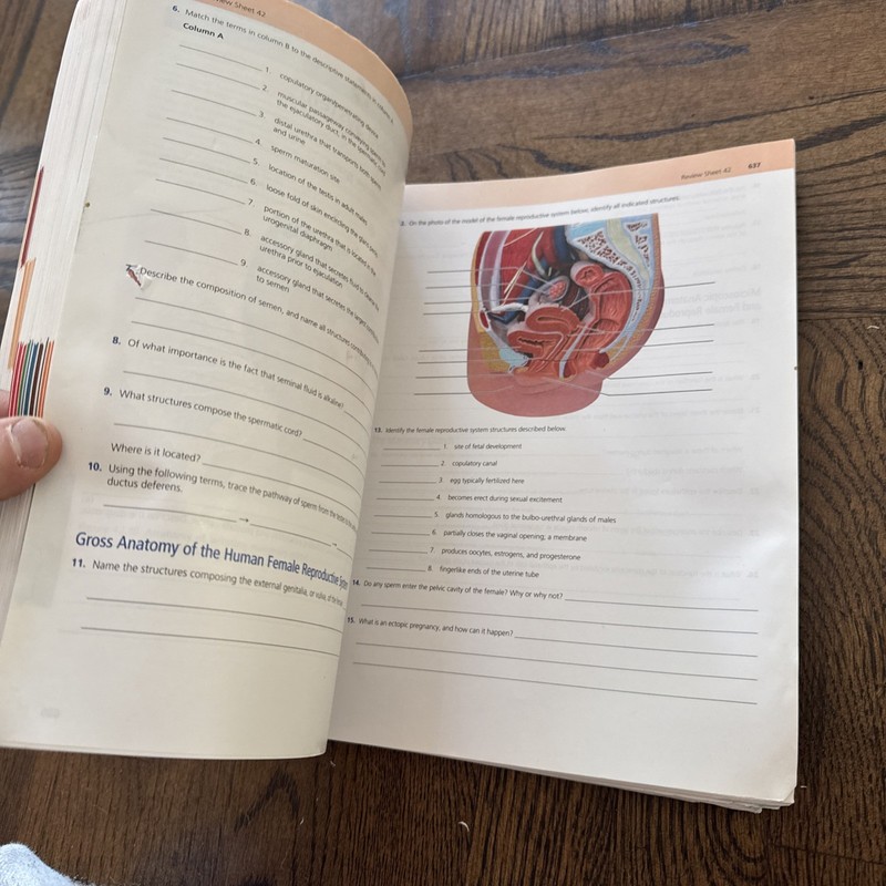 Human Anatomy & Physiology Laboratory Manual, Fetal Pig Preowned gallery