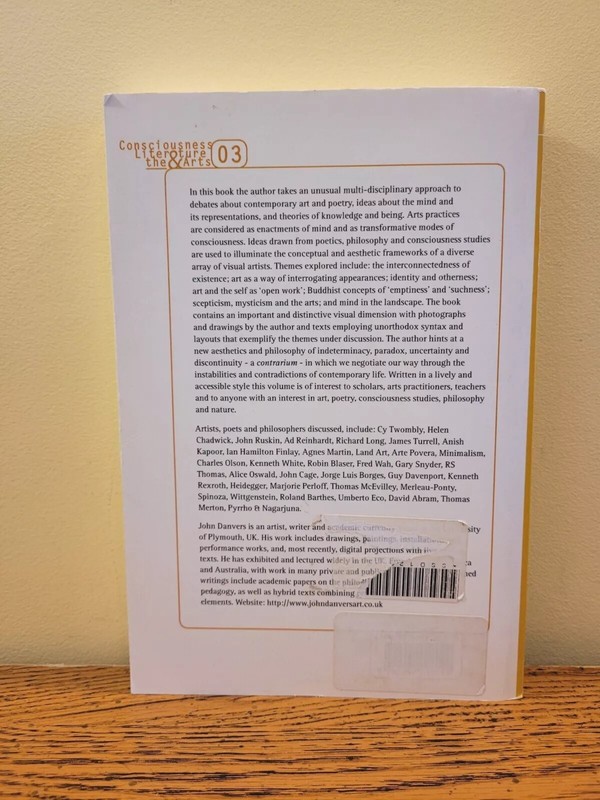Picturing Mind : Paradox & Consciousness In Art & Poetry by John Danvers gallery