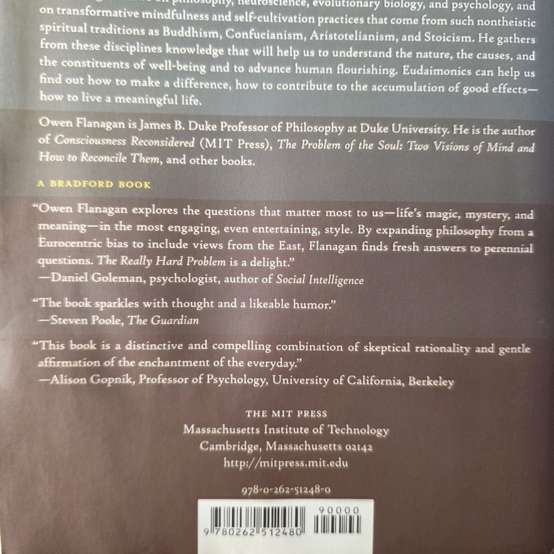 The Really Hard Problem: Meaning in a Material World (Bradford Books) gallery
