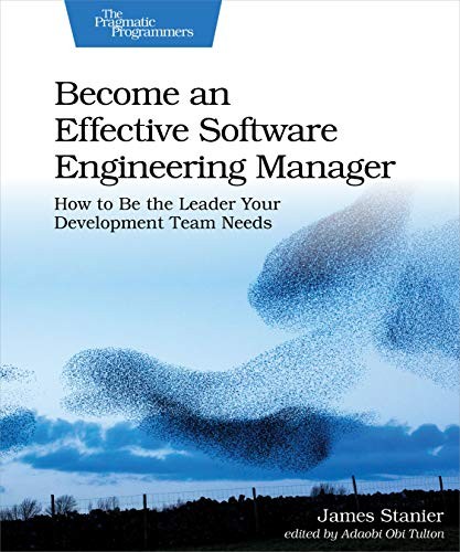 Become an Effective Software Engineeri… by Stanier, James Paperback / softback
