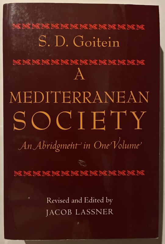 A Mediterranean Society, Abridgment in One Volume – S. D. Goitein Jews in Islam