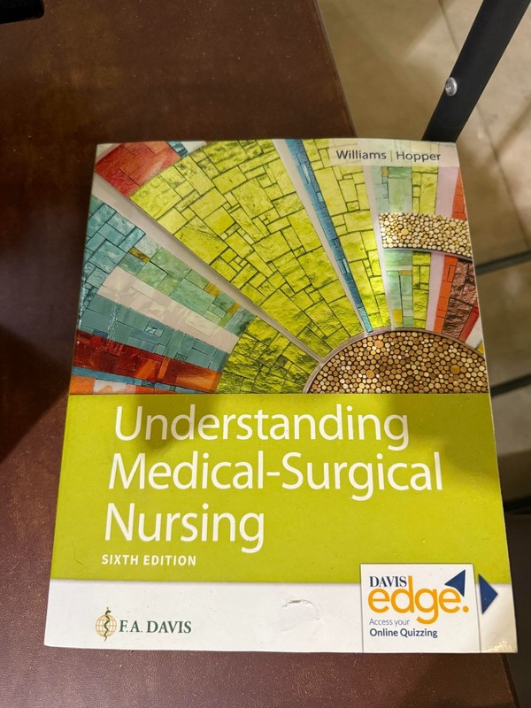 Understanding Medical-Surgical Nursing by Linda S. Williams and Paula D. Hopper