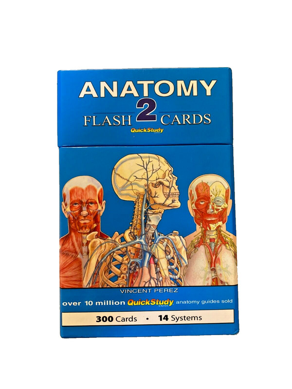 Anatomy 2 Quick Study Flashcards 300 Cards 14 Systems Color Coded