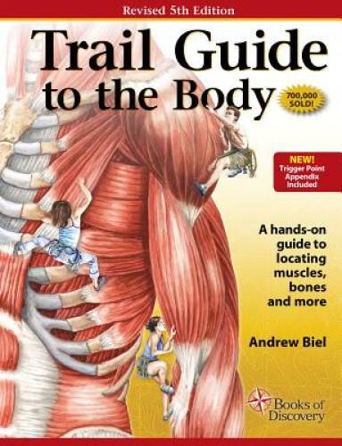 Trail Guide to the Body Flashcards Vol. 2: Muscles of the Body – Cards – GOOD