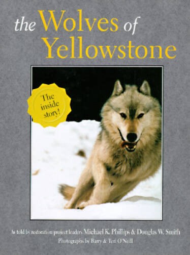 The Wolves of Yellowstone – Hardcover By Phillips, Michael K. – GOOD