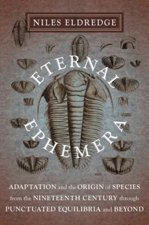 Eternal Ephemera : Adaptation and the Origin of Species from the