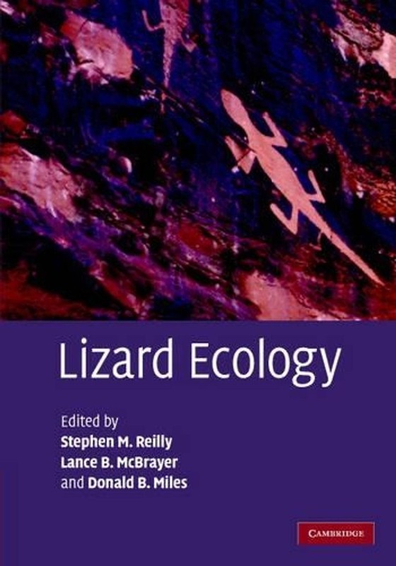 Lizard Ecology: The Evolutionary Consequences of Foraging Mode by Stephen M. Rei