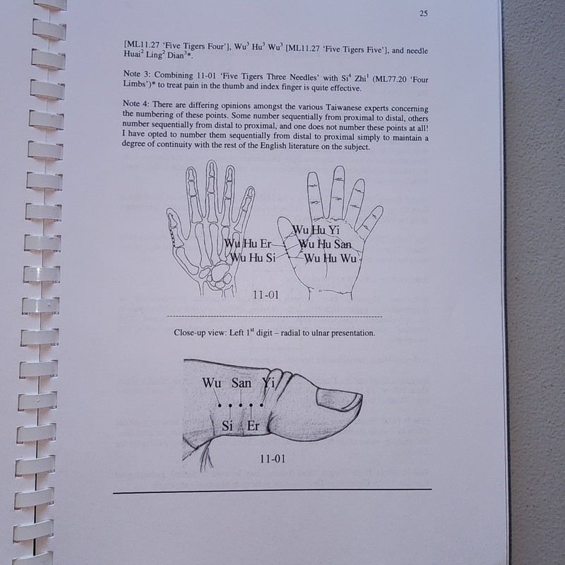 Advanced Tung Style Acupuncture: The Dao Ma Needling Technique gallery
