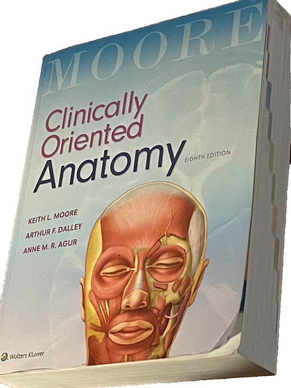 Clinically Oriented Anatomy by Arthur F. Dalley II, Keith L. Moore and Anne... gallery
