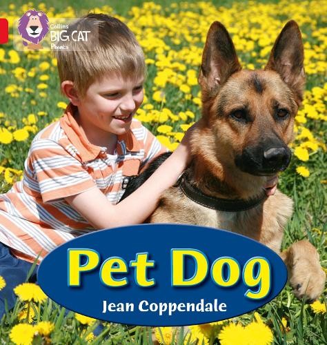 Jean Coppendale PET DOG (Paperback) Collins Big Cat Phonics (UK IMPORT)