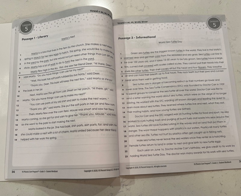 95% Phonics Core Program , Student Workbook , Grade 3 Volume A Unused 95 Percent gallery