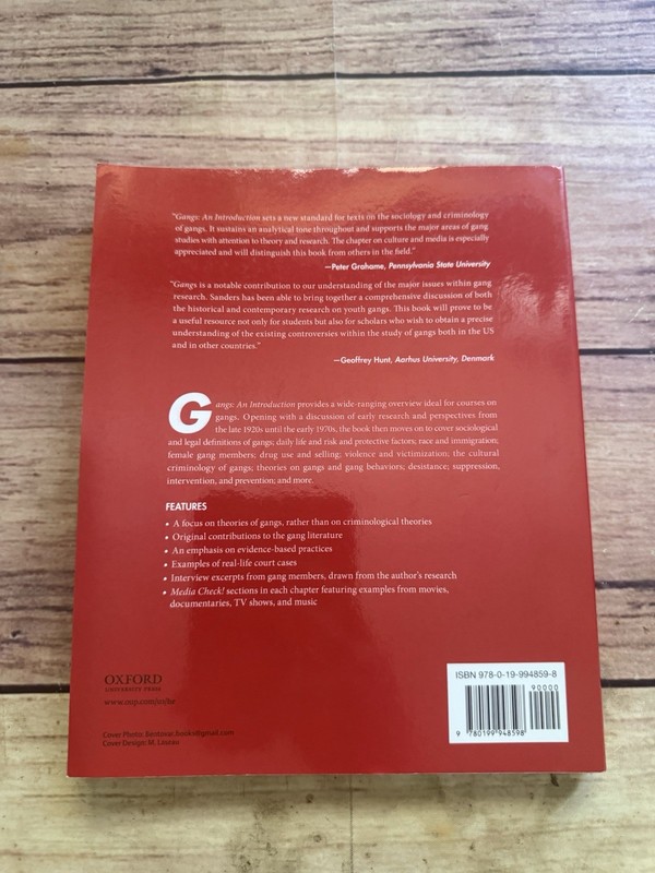 Gangs : An Introduction by Bill Sanders (2017, Trade Paperback) gallery