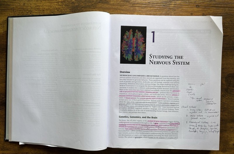 Neuroscience (2011, Hardcover) gallery