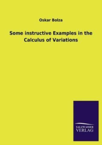 Some Instructive Examples In The Calculus Of Variations