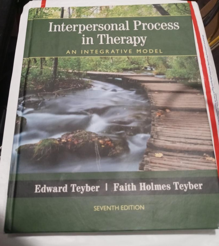 Interpersonal Process in Therapy: An Integrative Model 7th Edition by Edward Tey gallery