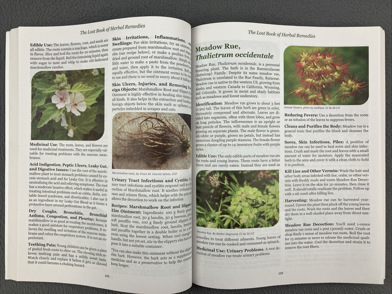 The Lost Book of Herbal Remedies (paperback with color pictures) Hundreds of gallery