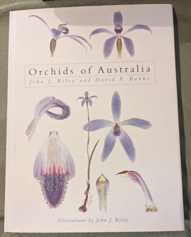 Orchids of Australia by John J Riley & David P Banks, hardcover with dustjacket