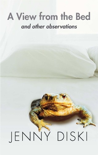 A View From The Bed And Other Observations by Diski, Jenny 1844080986 The Fast