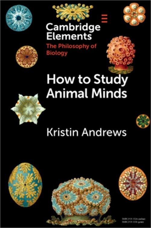 How to Study Animal Minds (Paperback or Softback)
