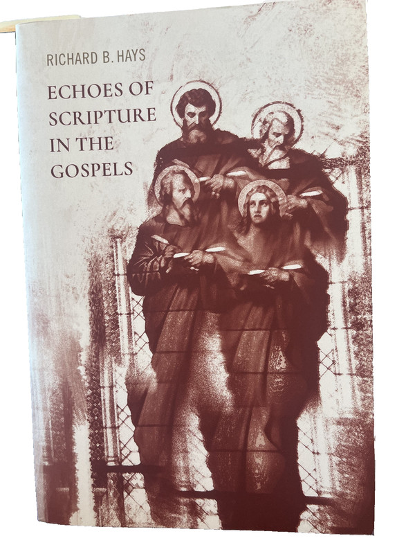 Echoes of Scripture in the Gospels by Richard B. Hays – paperback