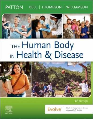 The Human Body in Health & – Paperback, by Patton PhD Kevin – Very Good h