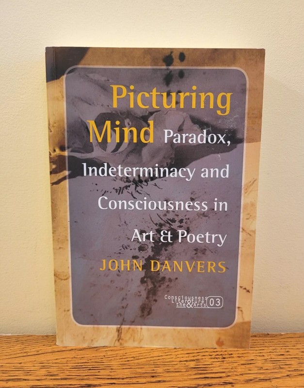 Picturing Mind : Paradox & Consciousness In Art & Poetry by John Danvers gallery