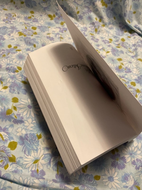 BOOK The Fashion Intern MICHELE M GRANGER Second edition fairchild books paperba gallery