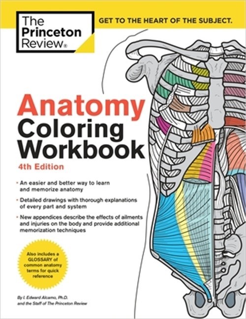 Anatomy Coloring Workbook, 4th Edition: An Easier and Better Way to Learn Anatom