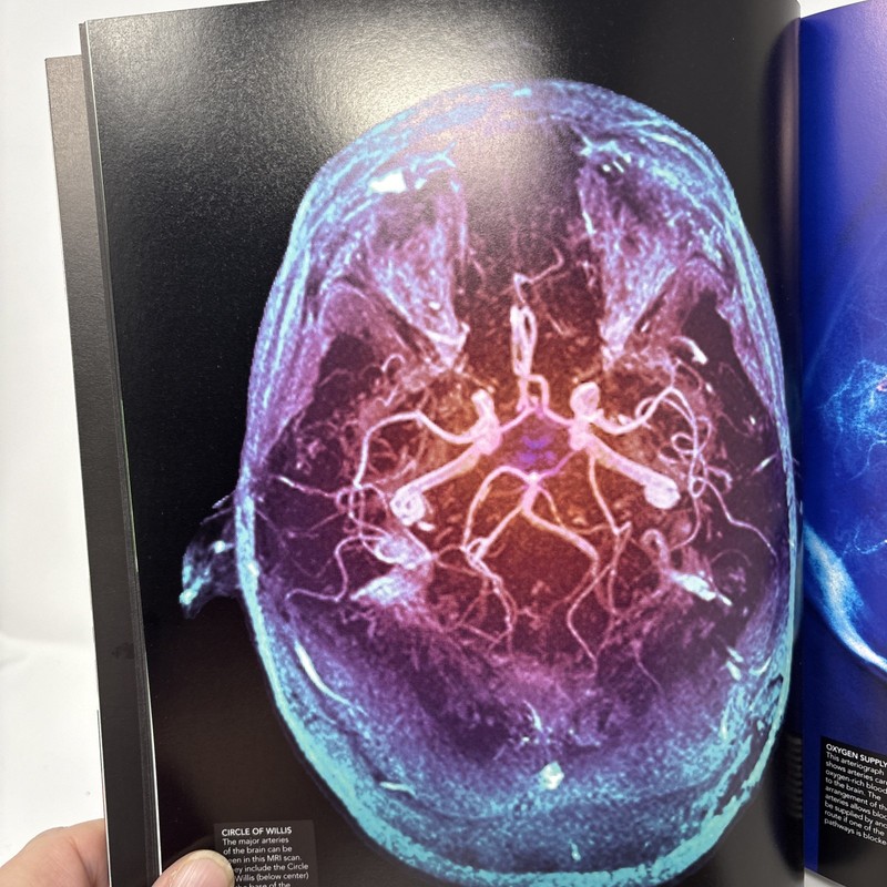 The Human Brain Book: New Edition 2019 Revised And Updated by Rita Carter. gallery