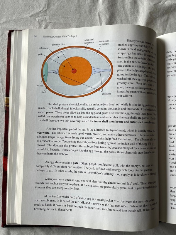 Exploring Creation with Zoology 1 Textbook gallery