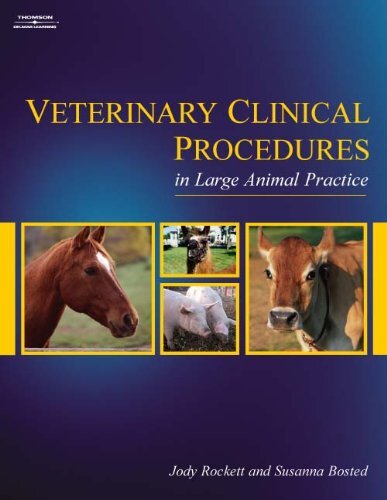 Veterinary Clinical Procedures In Large Animal Practices by Jody Rockett