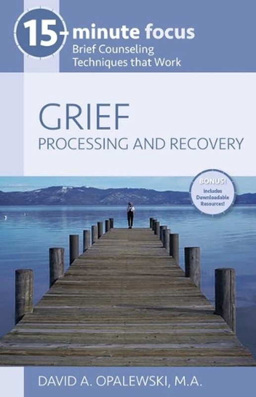 15-Minute Focus: Grief: Processing and Recovery: Brief Counseling Techniques Tha