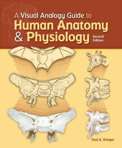A Visual Analogy Guide to Human Anatomy and Physiology – Loose Leaf – GOOD