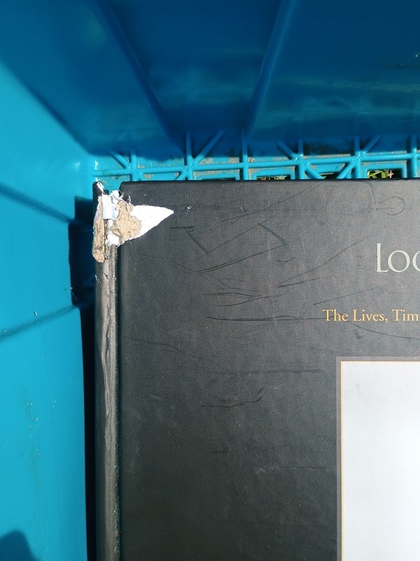 Locomotive 315 : The Lives, Times, and Rebirth of an 1895 Steam Engine by George
