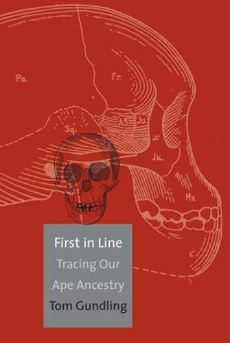 First in Line: Tracing Our Ape Ancestry by Professor Gundling, Tom: New
