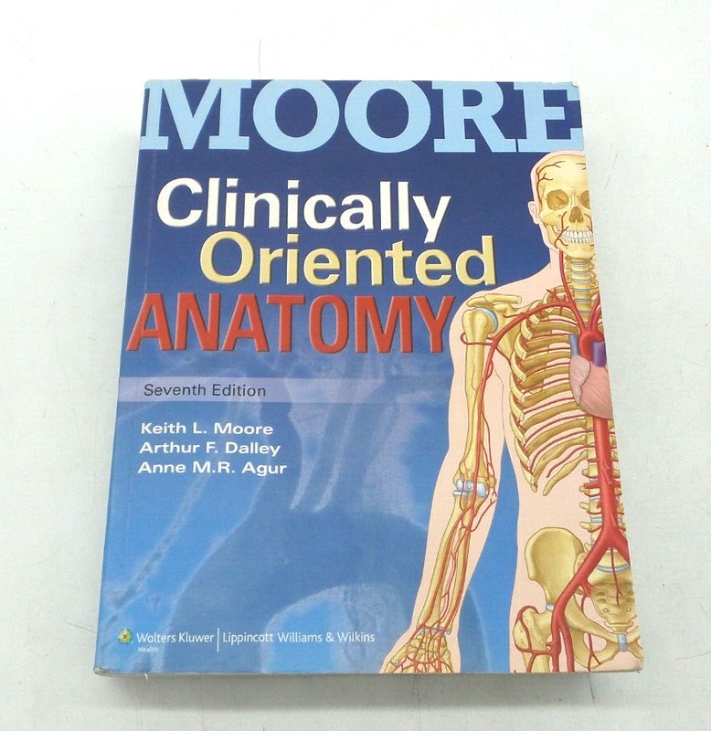 Clinically Oriented Anatomy – Paperback, by Keith L. Moore Anne – Good Condition