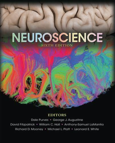 Neuroscience by
