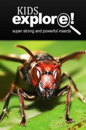 Super Strong And Powerful Insects – Kids Explore: Animal Books Nonfiction -…