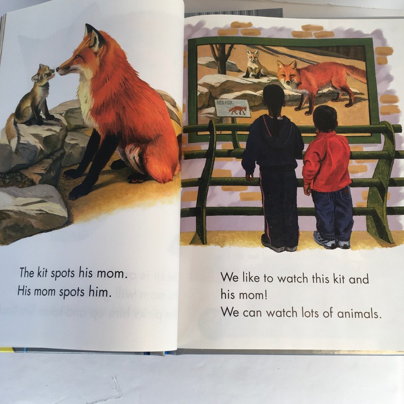 Phonics-Based READING STREET Grade 1 Book Set 1-5 Pearson Home School - Foresman gallery