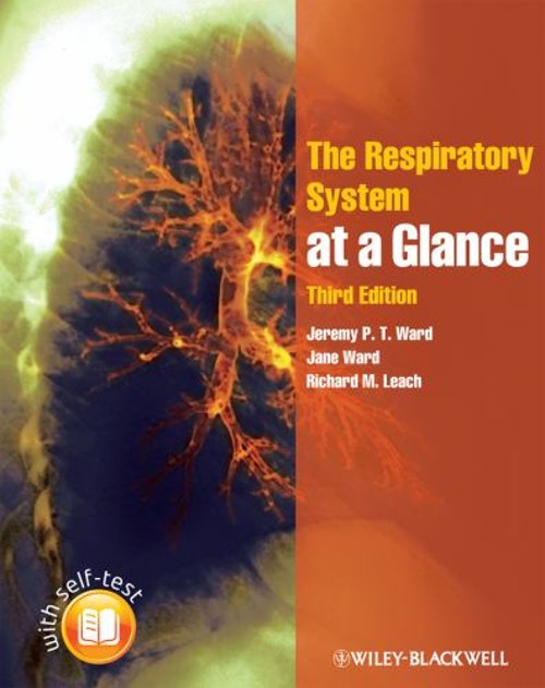The Respiratory System Paperback