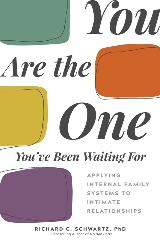 You Are the One You’ve Been Waiting For: Applying Internal Family Systems to …