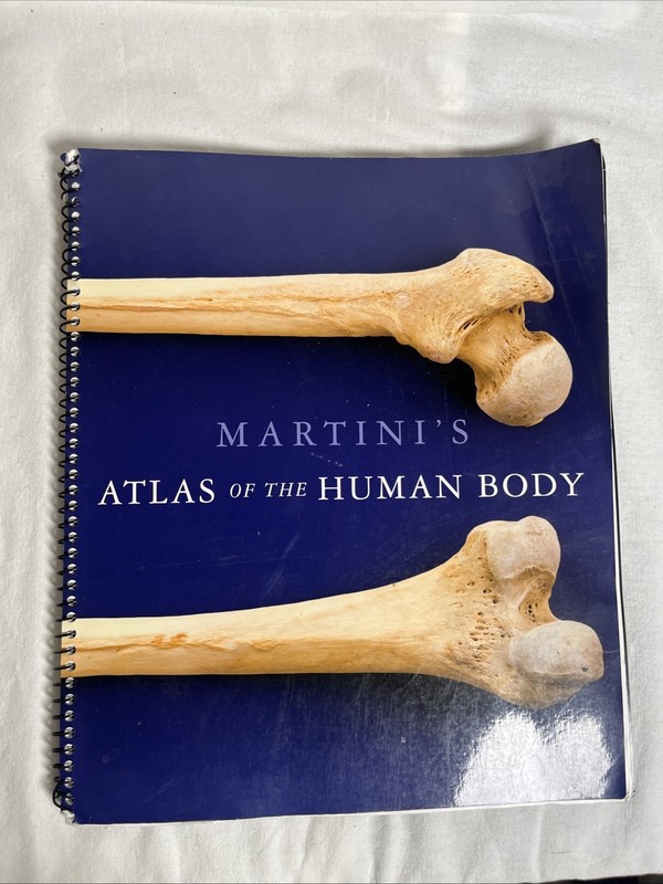 Martini's Atlas of the Human Body By Pearson, 2014, Spiral Bound PB, 160 Pages