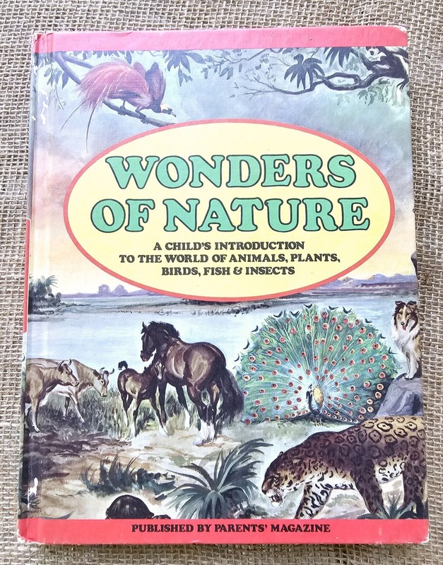 1974 Wonders Of Nature Children's Book By Parents Magazine