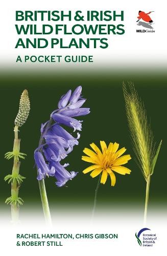 Rachel Hamilton Chris Gibson Robe British and Irish Wild Flowers an (Paperback)