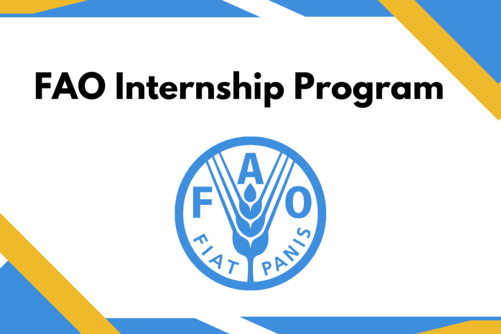 FAO Internship program