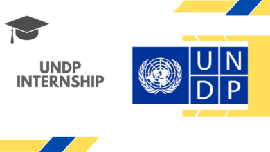 UNDP Internship