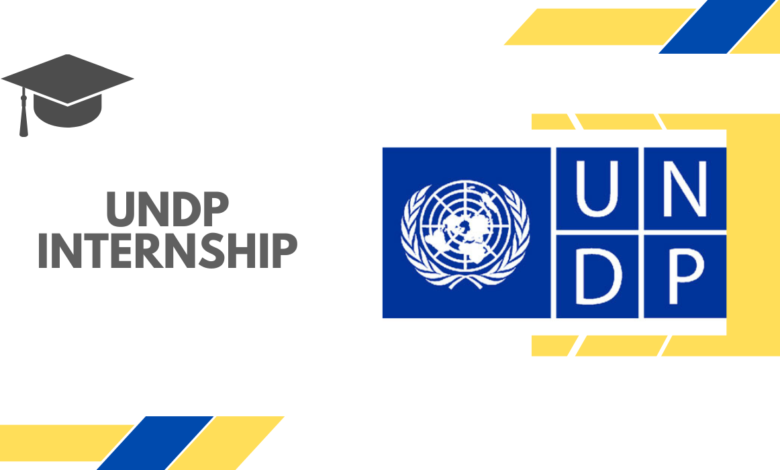 UNDP Internship